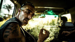 Kings of Cannabis & Into the Darkness Kings of Cannabis & Into the Darkness