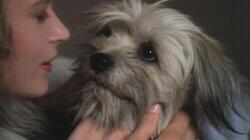 Every Dog Has His Doogie Every Dog Has His Doogie