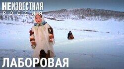 Дети тундры Дети тундры