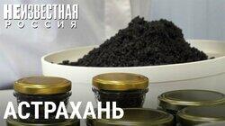 Черное золото России Черное золото России