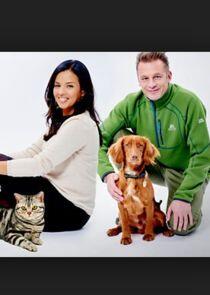 Cats v Dogs: Which is Best? Cats v Dogs: Which is Best?