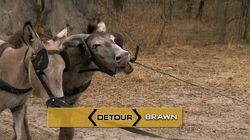 Be Safe and Don't Hit a Cow Be Safe and Don't Hit a Cow