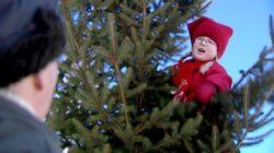 Reisen til juletreet Reisen til juletreet