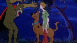Make a Beeline Away from That Feline Make a Beeline Away from That Feline