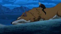 Wolf and a New Begininng Wolf and a New Begininng