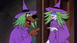 To Switch a Witch To Switch a Witch