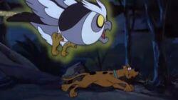 Watch Out! The Willawaw! Watch Out! The Willawaw!