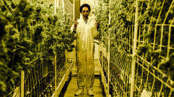 Weedonomics Weedonomics