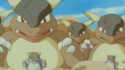 The Kangaskhan Kid The Kangaskhan Kid