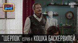 Кішка Баскервілів Кішка Баскервілів