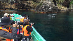 Teuri Island Teuri Island