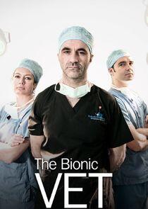 The Bionic Vet The Bionic Vet