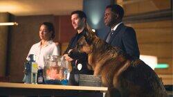 Conspiracy Theory Conspiracy Theory