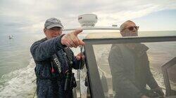 Fugl eller fisk Fugl eller fisk