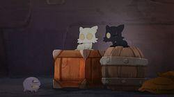Pupuce's Life Pupuce's Life