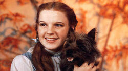 Judy Garland: By Myself Judy Garland: By Myself