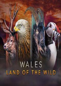 Wales: Land of the Wild Wales: Land of the Wild