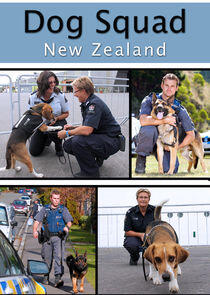 Dog Squad Dog Squad