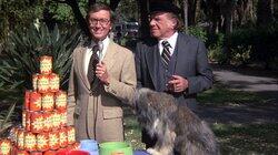 Murder Is Man's Best Friend