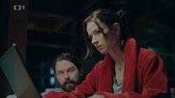 Divoký kůň Divoký kůň