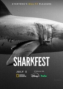 SharkFest SharkFest