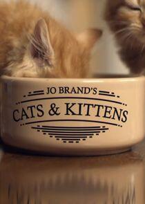 Jo Brand's Cats and Kittens Jo Brand's Cats and Kittens