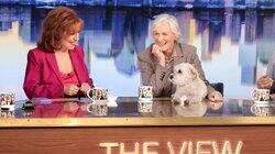 Glenn Close, Diane Warren Glenn Close, Diane Warren