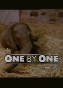 One by One One by One