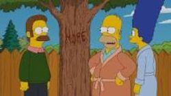 A Tree Grows in Springfield A Tree Grows in Springfield
