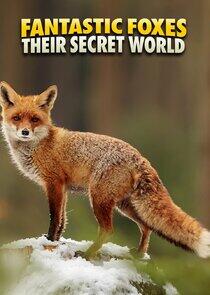 Fantastic Foxes: Their Secret World Fantastic Foxes: Their Secret World