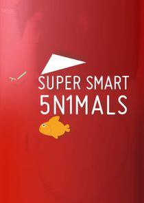 Super Smart Animals Super Smart Animals