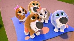 Hush Puppies Hush Puppies