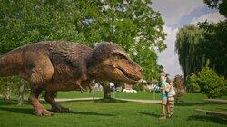 Dino Touchdown Dino Touchdown