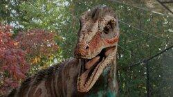 Free As A Dino Free As A Dino