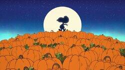 It's the Great Pumpkin, Charlie Brown