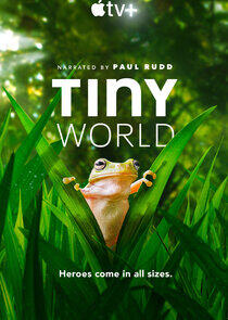 Tiny World Tiny World