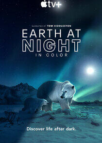 Earth at Night in Color Earth at Night in Color
