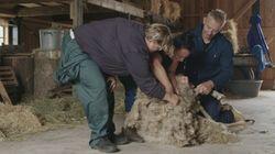 Aflevering 4 Aflevering 4