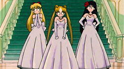 Let's Become a Princess: Usagi's Bizarre Training Let's Become a Princess: Usagi's Bizarre Training