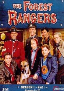 The Forest Rangers The Forest Rangers