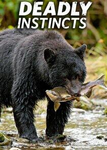 Deadly Instincts Deadly Instincts