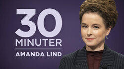 Miljöpartiets språkrör Amanda Lind Miljöpartiets språkrör Amanda Lind