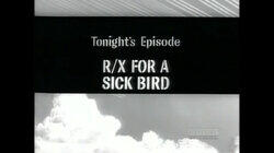 R/X For a Sick Bird