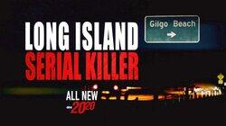 Long Island Serial Killer Long Island Serial Killer