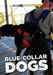 Blue-Collar Dogs Blue-Collar Dogs
