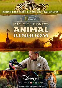Magic of Disney's Animal Kingdom - Season 1 Magic of Disney's Animal Kingdom - Season 1