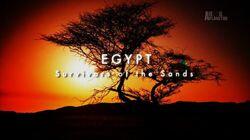 Egypt: Survivors of the Sands Egypt: Survivors of the Sands