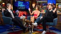 Lisa Rinna & Bob Harper Lisa Rinna & Bob Harper