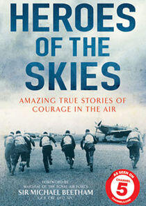 Heroes of the Skies Heroes of the Skies