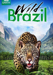 Wild Brazil Wild Brazil